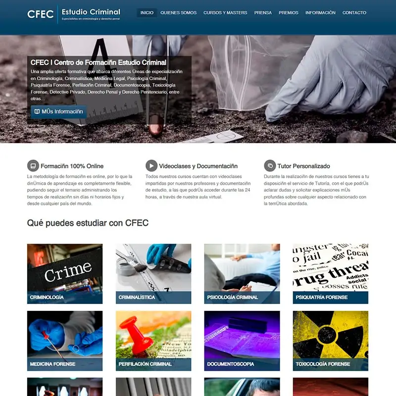 Trabajo realizado de diseño web freelance málaga